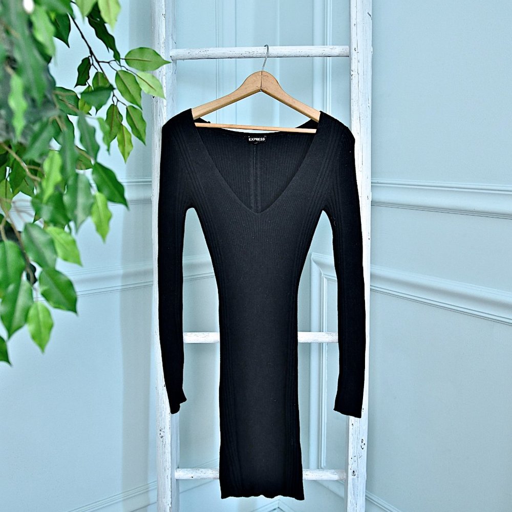 Express sweater dress